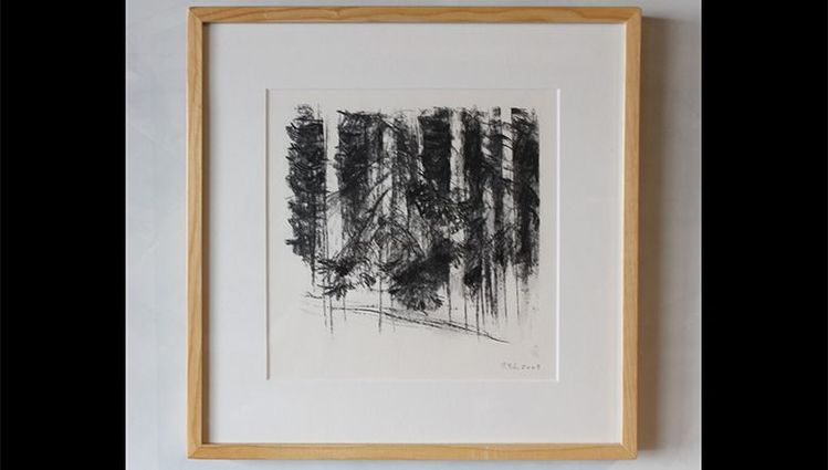 Forêt - fusain, 43 x 42 cm