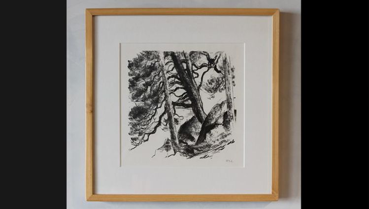 Pin et Arole - fusain, 43 x 42 cm