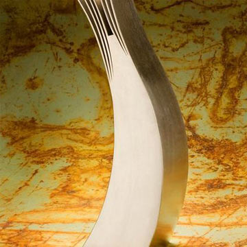 Raphael Moulin